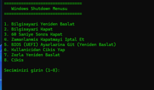 BIOS’a Girmeyi CMD’ye Bırak